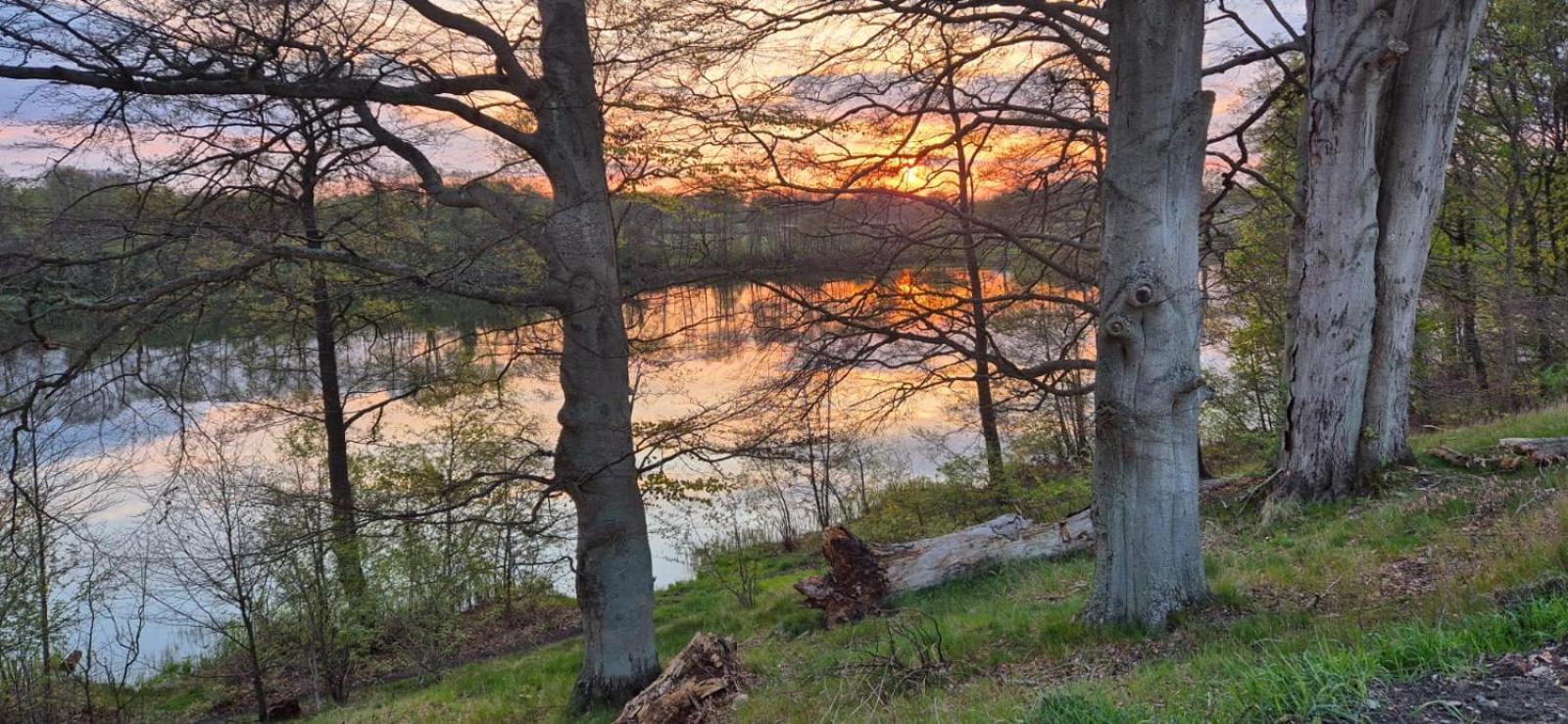 Domek Nad Jeziorem Bystrzyna Świdwin Kültér fotó